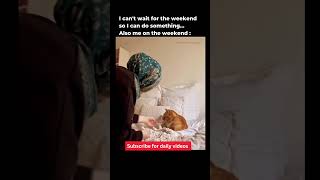 Weekend Meme weekend work office corporate jobs cat comedy funny shorts [upl. by Ireland]