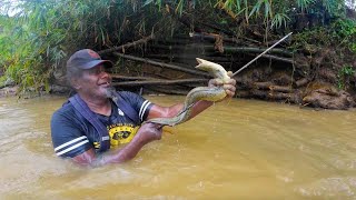 Spearfishing Eels In The Interior Of Mainland Fiji Catch amp Cook Suruwa🇫🇯 [upl. by Hairim]