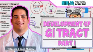 Gastrointestinal  Development amp Embryology of the GI Tract Part 1 [upl. by Aristotle775]