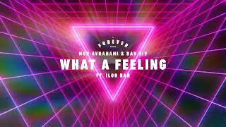 Mor Avrahami amp Ran Ziv ft Ilor Bar  What A Feeling Intro Mix [upl. by Dralliw265]