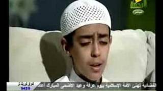 Quran Ki Tilawat  Mahmoud Hijazi  Surah AnNeml [upl. by Kile]