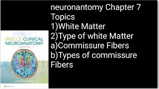 white Matter of Cerebrum part1types Of FibersCommissure and its types FibersNeuroanatomy [upl. by Ayin]