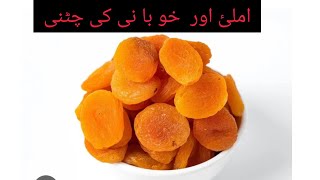 Imli or Khubani ki Chatni  Easy recipe of Tamarind and Apricot Sauce MariaSami Cooking channel [upl. by Monroe948]