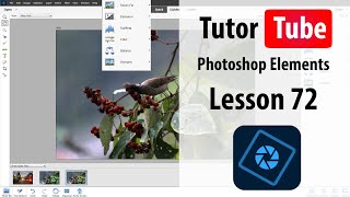 Photoshop Elements Tutorial  Lesson 72  Guided Photomerge Panorama [upl. by Shewmaker499]