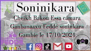 cheikh Bakou Essa cámara Ganbanaaxu Feddé soninkara Gambie le 17102024 [upl. by Rauch]