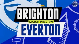 Brighton amp Hove Albion V Everton  Match Preview [upl. by Hussein661]