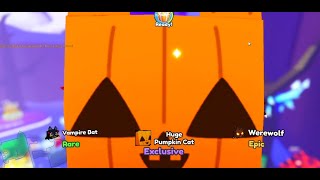 I hatched 3 huge pumpkin cats hatch recorded [upl. by Gnort]