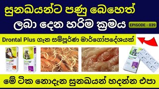 ඔබේ සුරතලාටත් Drontal Plus පණු බෙහෙත්  පණු බෙහෙත් දෙන හරිම විදිය  Deworming for Dogs [upl. by Dong]