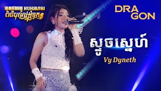 ស្ទូចស្នេហ៍  Vy Dyneth [upl. by Latsyrk]