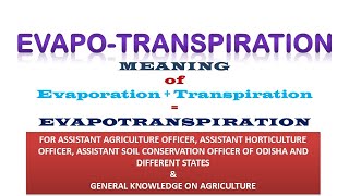 WHAT IS EVAPOTRANSPIRATION evapotranspiration  Agronomy [upl. by Bollen722]