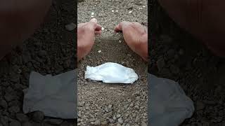 A funeral procession frog🐸🥀frog wildlife shorts viralvideo [upl. by Stannfield]