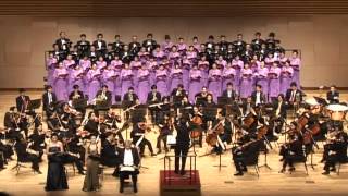 Mendelssohn Symphony No2 Lobgesang Part 2 [upl. by Eiznyl]