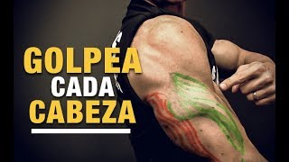 Ejercicios para Cada Cabeza del Tríceps ¡TRABAJA TODAS [upl. by Akenet]