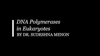 DNA Polymerases in Eukaryotes [upl. by Einnaffit]