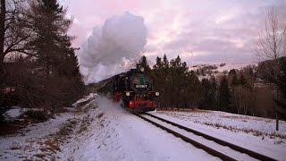 Dampfzüge auf der Fichtelbergbahn  zwischen Niederschlag und Oberwiesenthal [upl. by Narud]