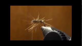 Fly Tying Grannom Caddis [upl. by Norb841]