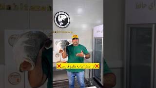 🐠BARRAMUNDI AUSTRALIAN FISH🐠 fishing seafood ماهی fish food ترند [upl. by Otrebogad]