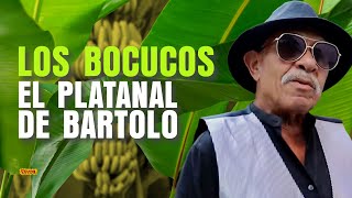 LOS BOCUCOS  El Platanal de Bartolo 🍌🍌 [upl. by Sikleb]