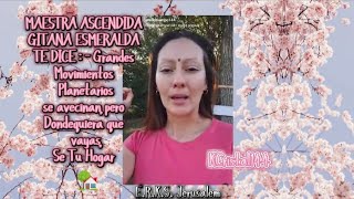 Maestra Ascendida Esmeralda Te Dice¡Dondequiera que vayasSé Tu Hogar 🧝‍♀️🏡💚 KC ERKS Jerusalém [upl. by Ahsiri259]