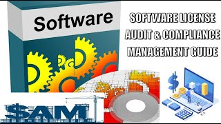 Software Audit Process Explained A Beginners Guide [upl. by Devondra]