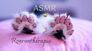 ASMR RONRON 🐈 Petrissage et ronronnement 3D dans vos oreilles 😺 asmrsleep asmrsounds brushing [upl. by Brandyn]