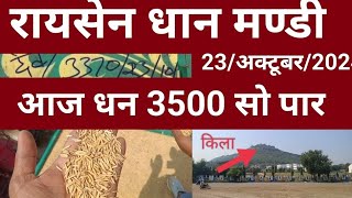 raisen mandi।। आज रायसेन मण्डी में धान का भाव 3500 पार।।🌾🌾 [upl. by Soalokin]