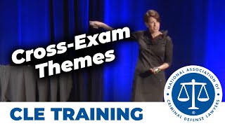 Bringing Your Defense to Life Through Theme in Cross Examination  C Missy Owen [upl. by Gnuhp163]