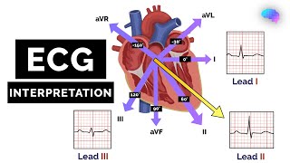 How to Read an ECG  ECG Interpretation  EKG  OSCE Guide  UKMLA  CPSA [upl. by Plank901]