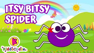 ITSY BITSY SPIDER  CoComelon Nursery Rhymes [upl. by Salisbury151]