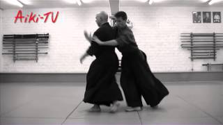 Yoseikan Aikijujutsu demonstration by Hugo Chauveau [upl. by Eanehs]