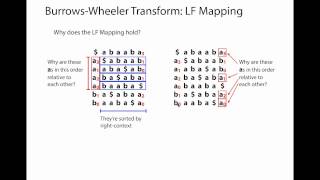 BurrowsWheeler Transform [upl. by Ilarrold757]