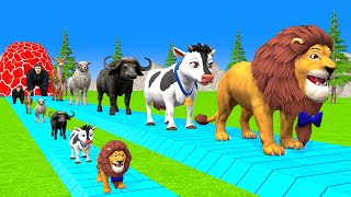 Paint amp Animals CowGorrilaElephantLionBuffaloGoat Fountain Crossing Transformation Cartoon [upl. by Melliw]