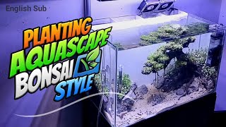 Planting Aquascape Bonsai Style [upl. by Elleda497]