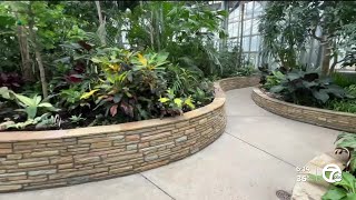 Detroiters get first look inside refreshed Anna Scripps Whitcomb Conservatory [upl. by Dona]