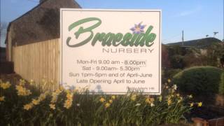 Braeside Nursery U105 Radio Advert 2012 [upl. by Rachelle]