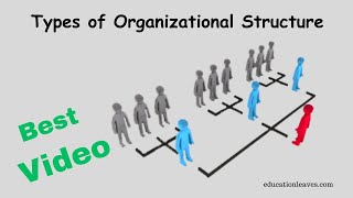 Types of Organizational Structure in management [upl. by Cogn]