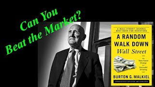 The Random Walk Theory Explained A Random Walk Down Wall Street Audiobook Ch 6 Sum Burton Malkiel [upl. by Machutte]