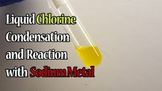 Synthesizing and Condensing Chlorine  Liquid Chlorine and Sodium Reaction [upl. by Antoinetta]