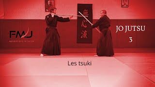 Mushin ryu ju jitsu Jo jutsu  bâton les tsuki [upl. by Vashtia]