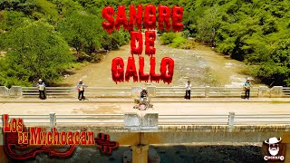 Sangre de Gallo  Los de Michoacán Video oficial [upl. by Ready657]