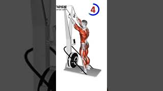 How to use ski ergometer muscles workout and benefits shots video [upl. by Eannyl]