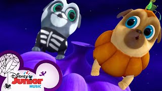 Bingo and Rollys Halloween Songs 🎃  Compilation  Puppy Dog Pals  Disney Junior [upl. by Rabbi]