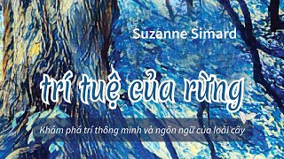 Sách Nói Trí Tuệ Của Rừng  Chương 1  Suzanne Simard [upl. by Seabury]