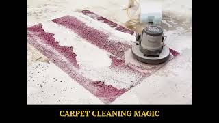 Amazing Carpet Cleaning Transformation cleaning carpet [upl. by Nosecyrb]