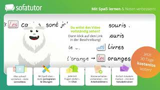 Bestimmte und unbestimmte Artikel le la les un une des einfach erklärt – Franzoesisch [upl. by Metzgar]