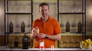 Ryan Reynolds Deadpool amp Wolverine Aviation Gin Promo [upl. by Ahtera]