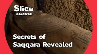 Unearthing Ancient Secrets in Saqqara  SLICE SCIENCE [upl. by Arodnahs]