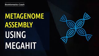 Metagenomics Assembly using Megahit [upl. by Sammy]