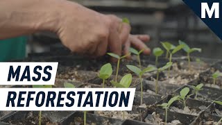 Former Reddit CEO Drives Reforestation With Affordable Tech  Mashable [upl. by Tennos]