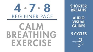 478 Calm Breathing Exercise  Beginner Pace  Short amp Easy Breaths  Simple Pranayama Exercise [upl. by Aysa]